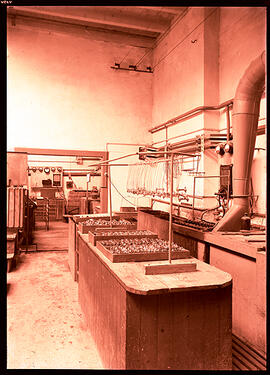 Cycles Stella : atelier